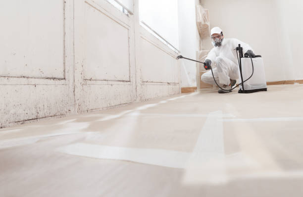 24/7 Emergency Commercial Mold Remediation experts in Newtown Square, PA
