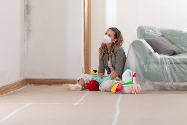 Reliable Commercial Mold Remediation contractor in Newtown Square, PA by Mold Remediation HQ