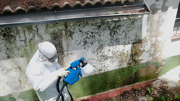 Top rated local Commercial Mold Remediation specialists in Newtown Square, PA